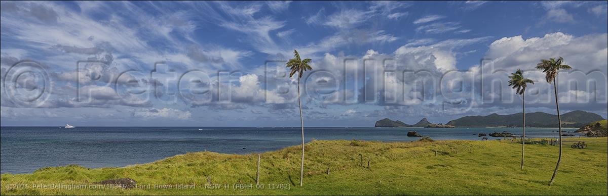 Peter Bellingham Photography Lord Howe Island - NSW H (PBH4 00 11782)
